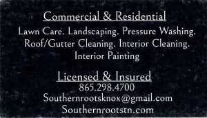 Southern Roots Property Solutions Page 2